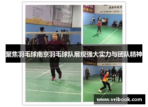 聚焦羽毛球南京羽毛球队展现强大实力与团队精神