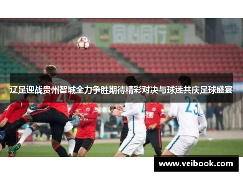 辽足迎战贵州智城全力争胜期待精彩对决与球迷共庆足球盛宴